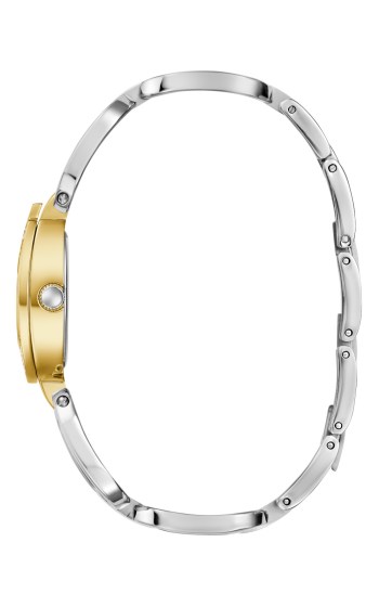 GUESS-GIA-GW0683L6---Quartz--2